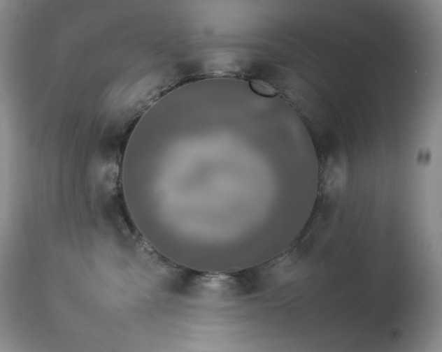 X0000114110427200910051518