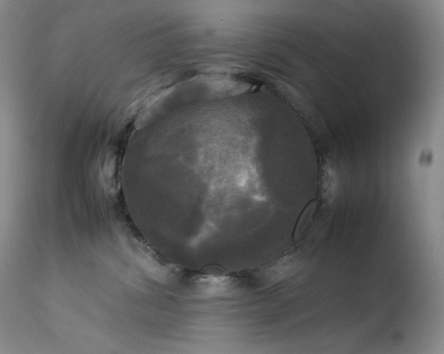 X0000114110428200910051518