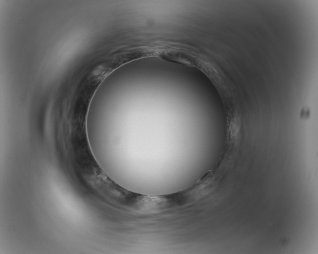 X0000114110429200910051518