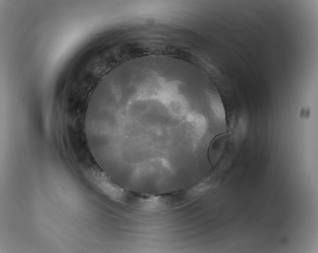 X0000114110430200910051518