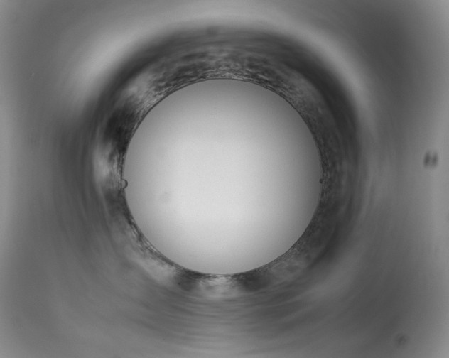 X0000114110431200910051518