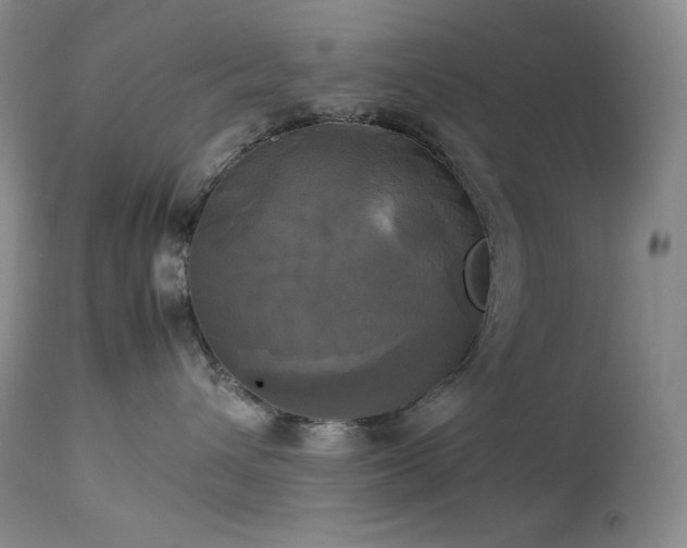 X0000114110432200910051518