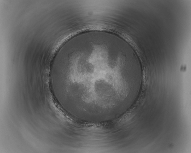 X0000114110434200910051517