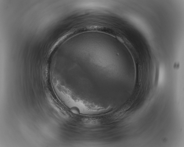 X0000114110435200910051517