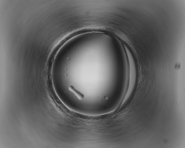 X0000114110436200910051517