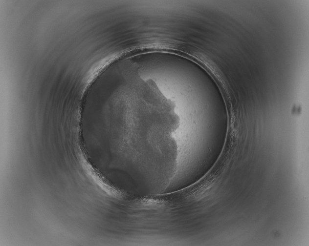 X0000114110437200910051517