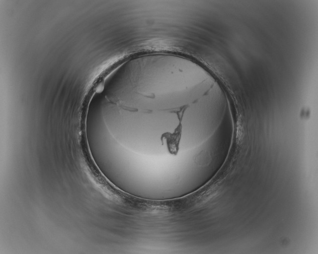 X0000114110438200910051517