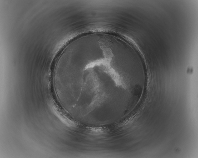 X0000114110439200910051517