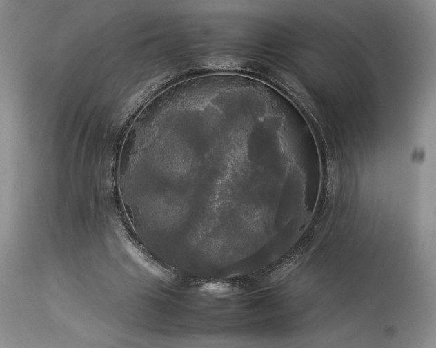 X0000114110441200910051517