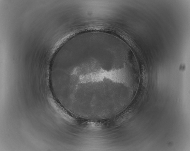X0000114110442200910051517