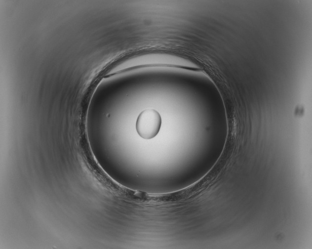 X0000114110444200910051517