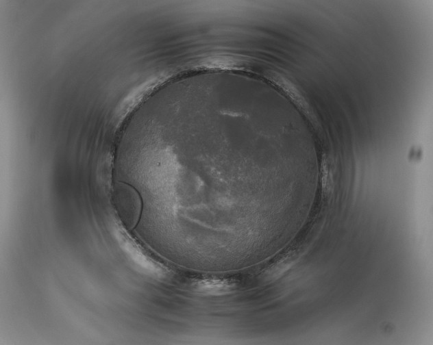 X0000114110445200910051517