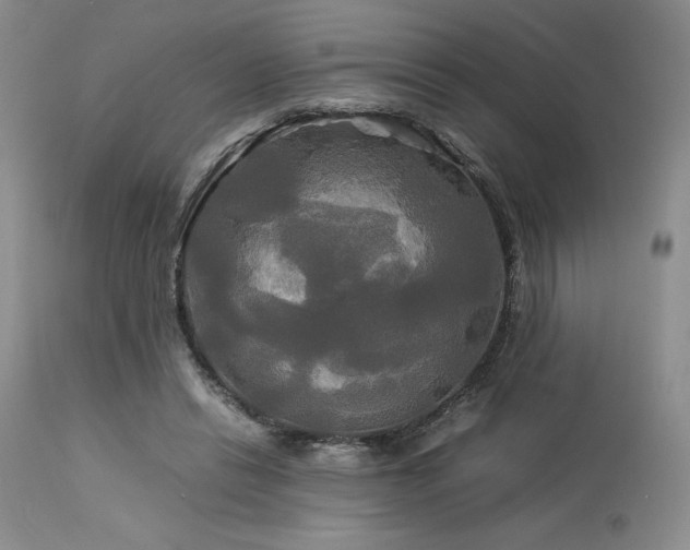 X0000114110446200910051517