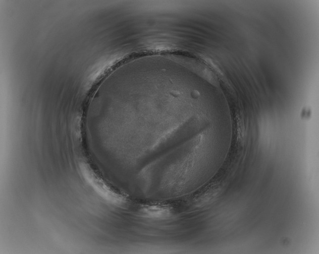 X0000114110447200910051517