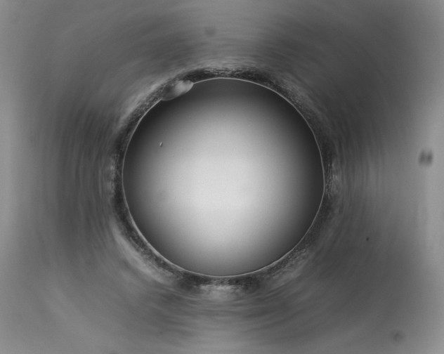 X0000114110448200910051517