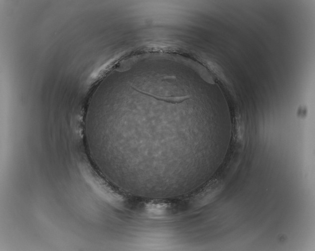 X0000114110450200910051517