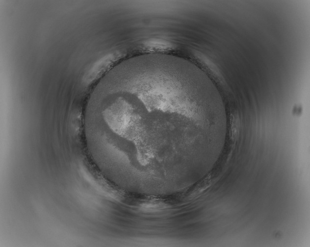 X0000114110451200910051517