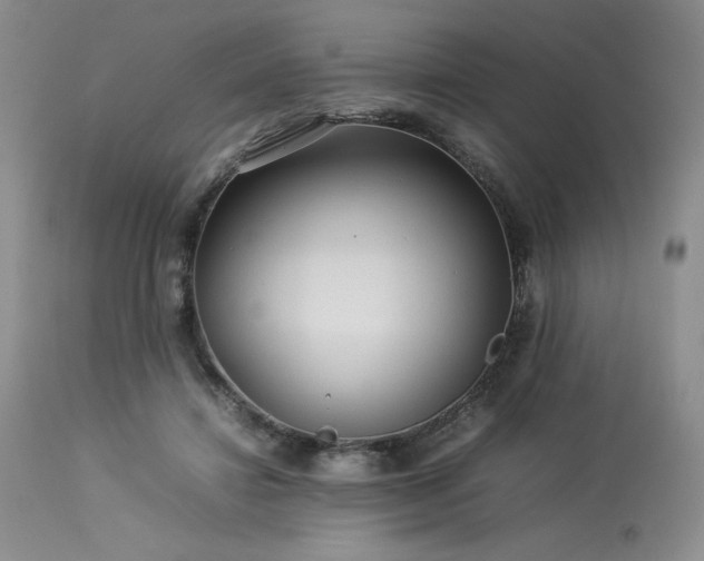 X0000114110452200910051517