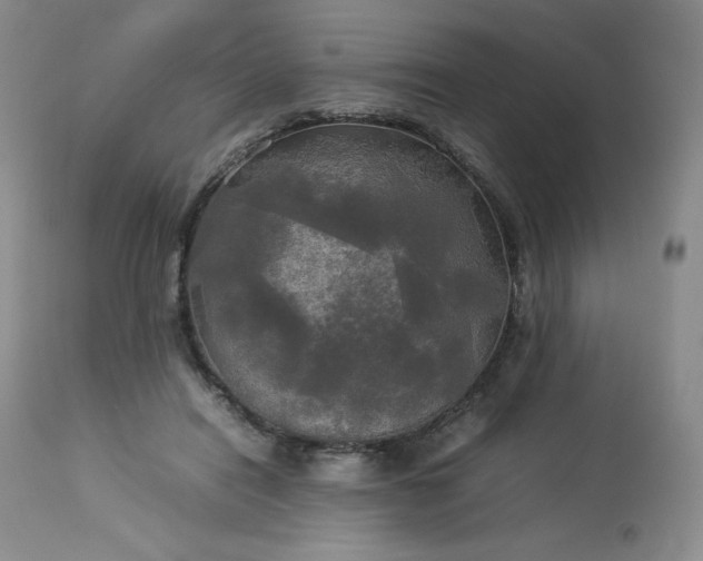 X0000114110454200910051517