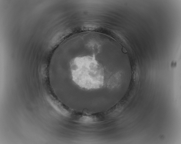 X0000114110455200910051517