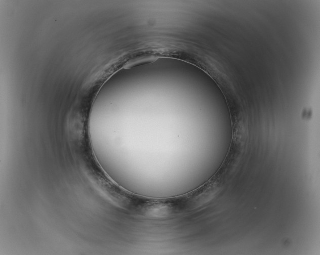 X0000114110456200910051517