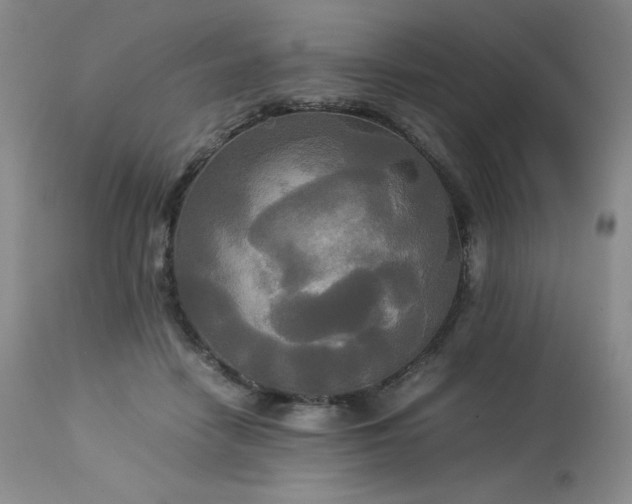 X0000114110458200910051518