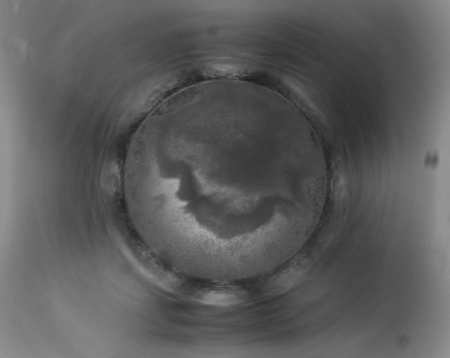 X0000114110459200910051518