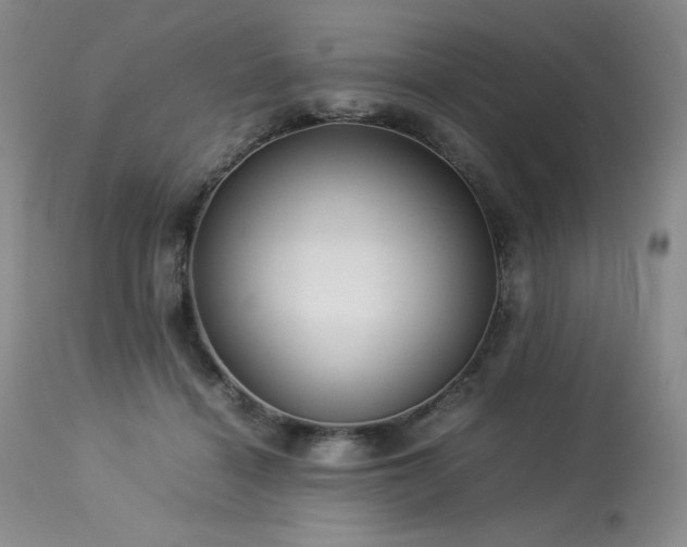 X0000114110460200910051518