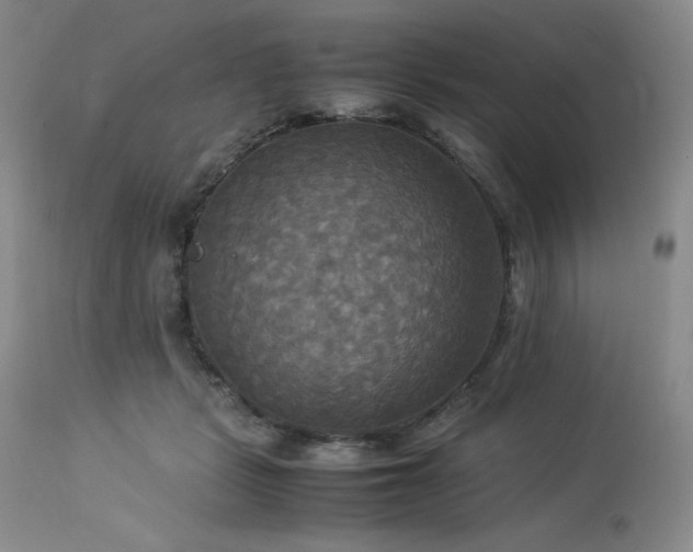 X0000114110461200910051518
