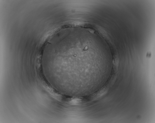 X0000114110462200910051518