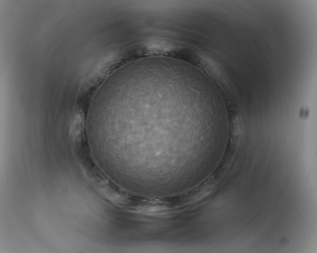 X0000114110463200910051518
