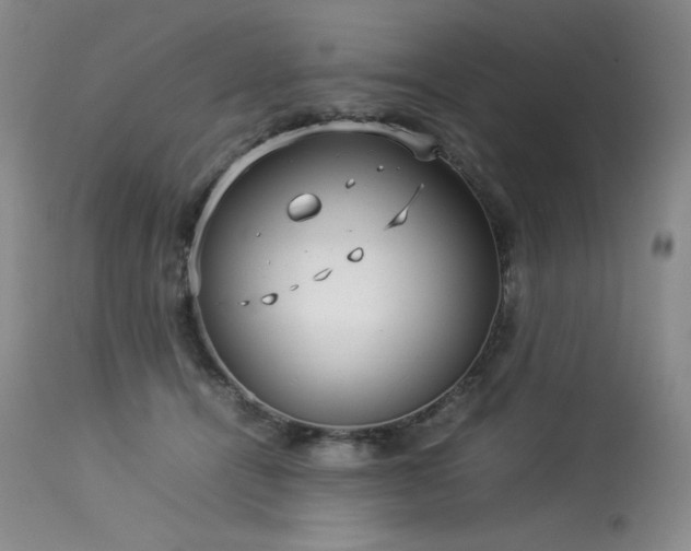 X0000114110464200910051518