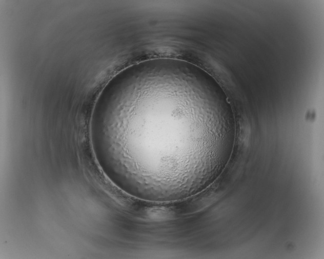 X0000114110465200910051518