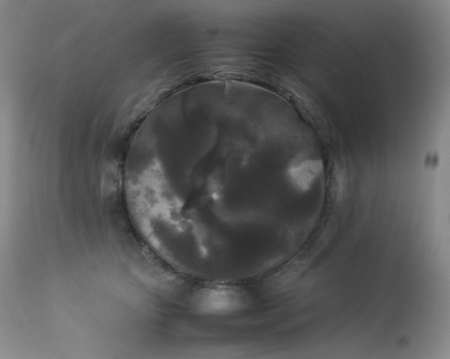 X0000114110467200910051518
