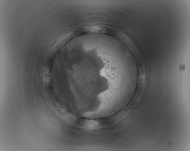 X0000114110469200910051518