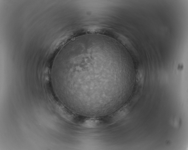 X0000114110470200910051518