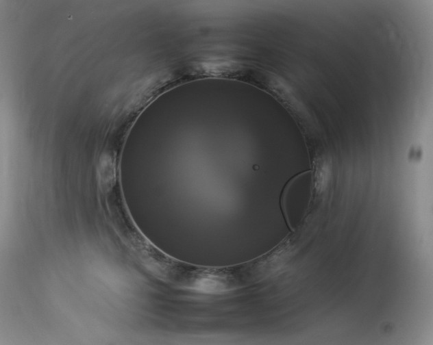 X0000114110471200910051518