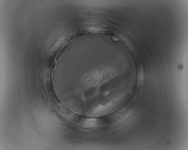 X0000114110473200910051518