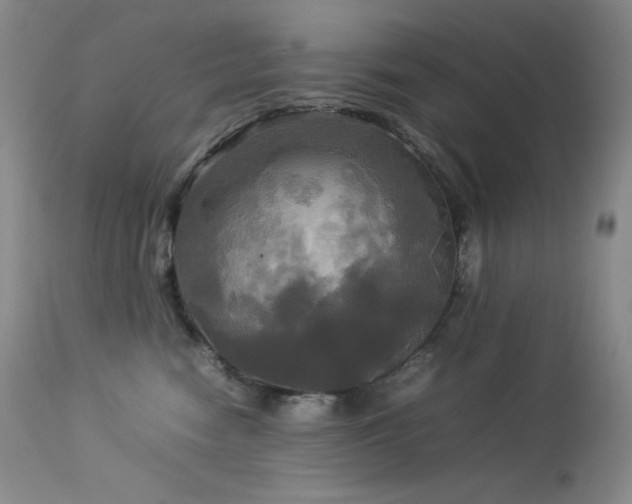 X0000114110474200910051518