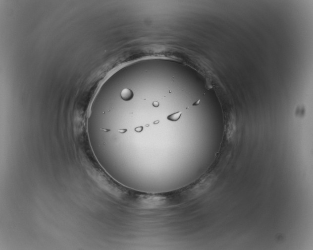 X0000114110476200910051518
