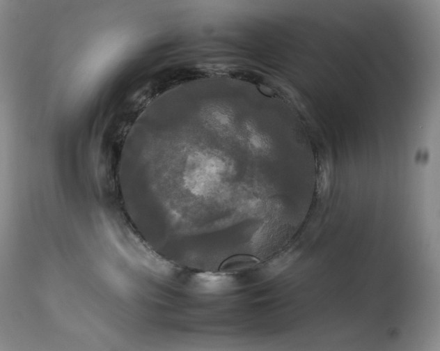 X0000114110477200910051518