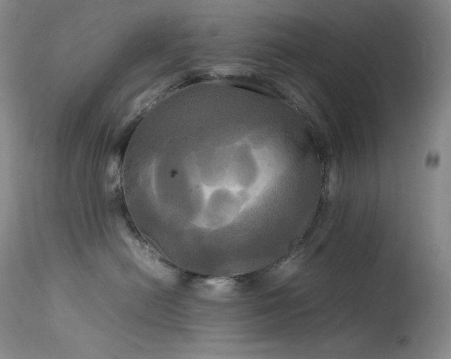 X0000114110478200910051518