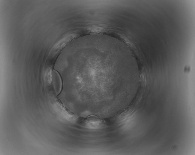 X0000114110479200910051518