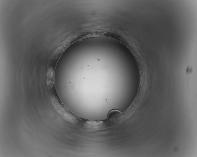 X0000114110480200910051518