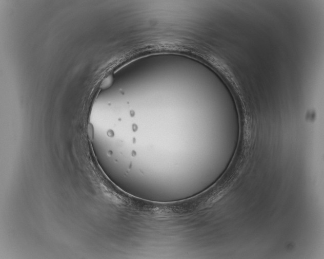 X0000114110481200910051517