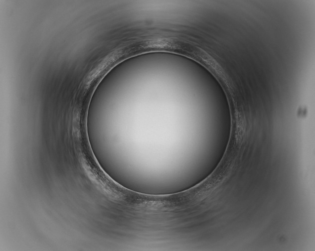 X0000114110482200910051517