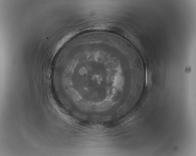 X0000114110483200910051517