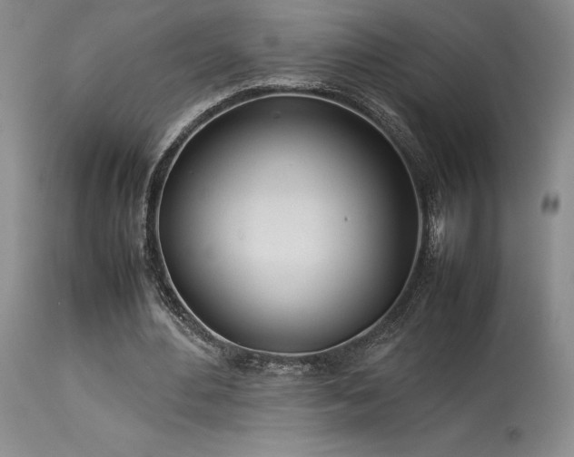 X0000114110484200910051517