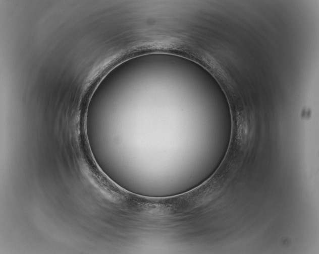 X0000114110486200910051517