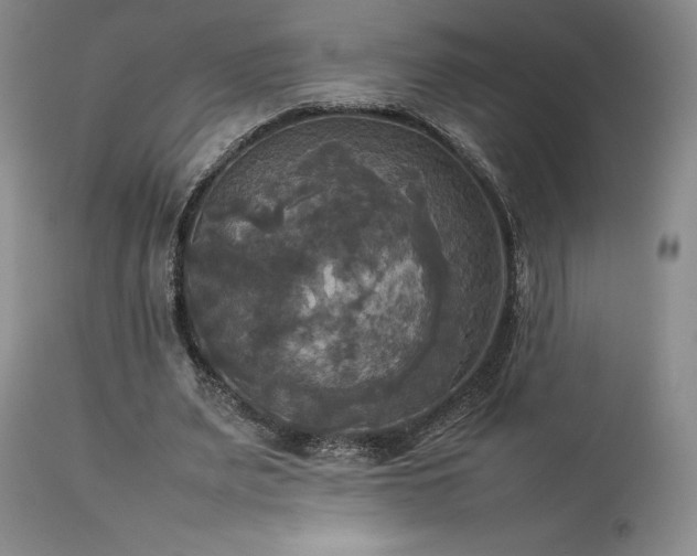 X0000114110487200910051517